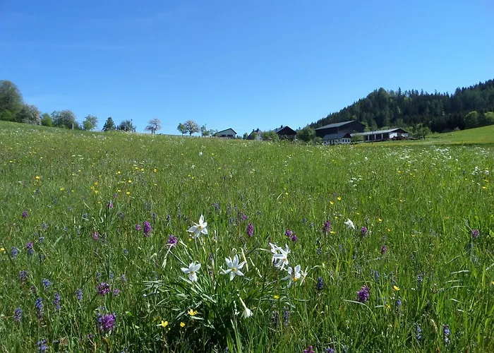 Bauernhof Ablass