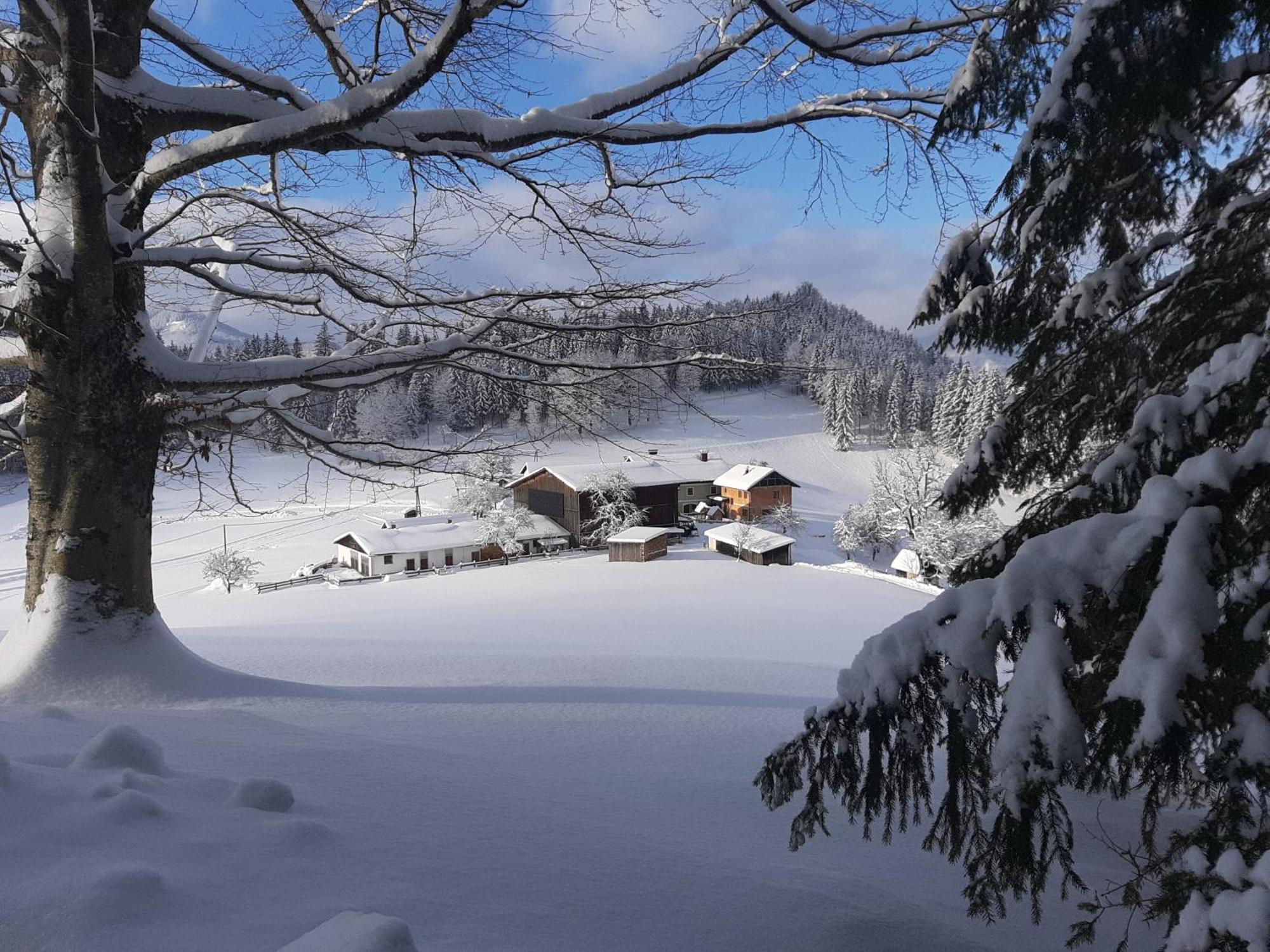 Bauernhof Ablass Goestling an der Ybbs