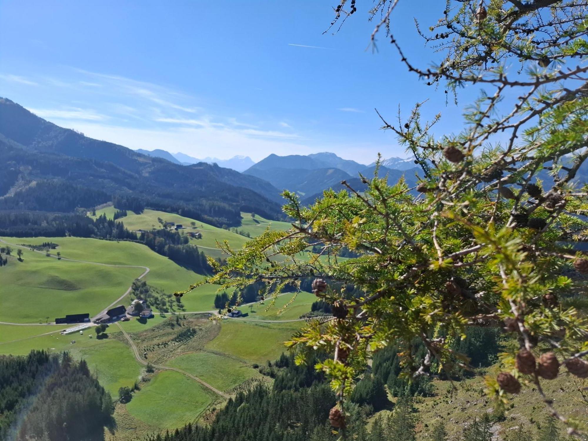 Homestay Bauernhof Ablass