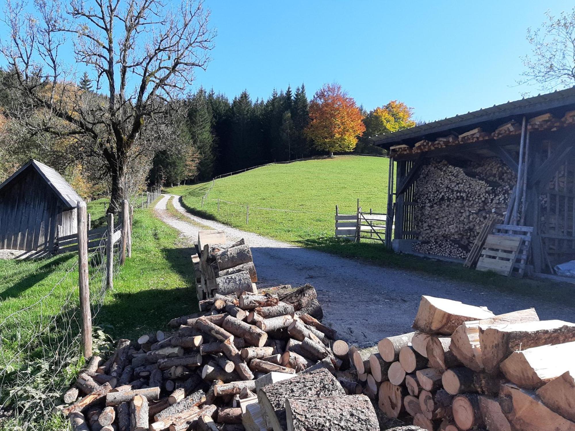 Bauernhof Ablass *