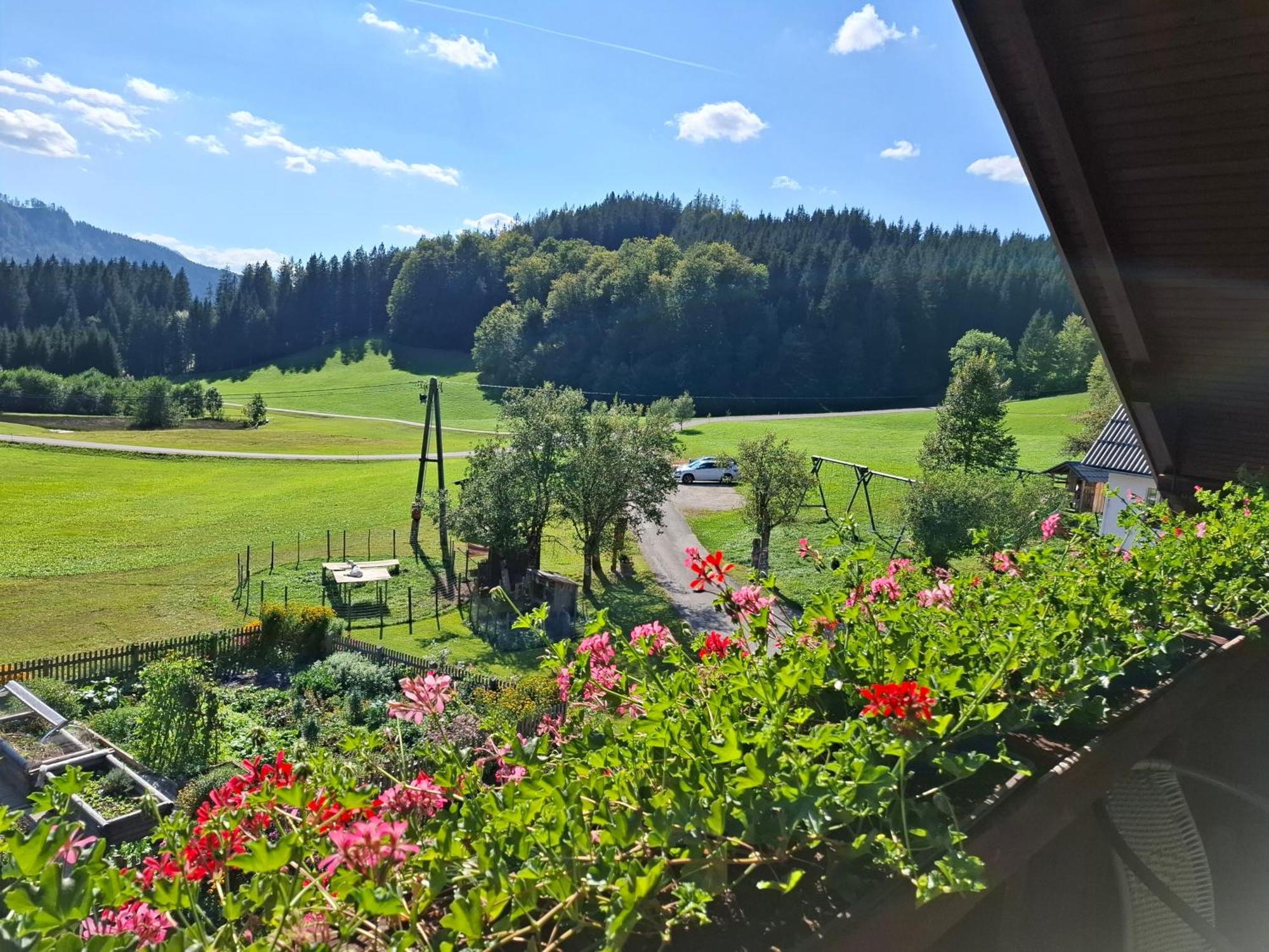Homestay Bauernhof Ablass